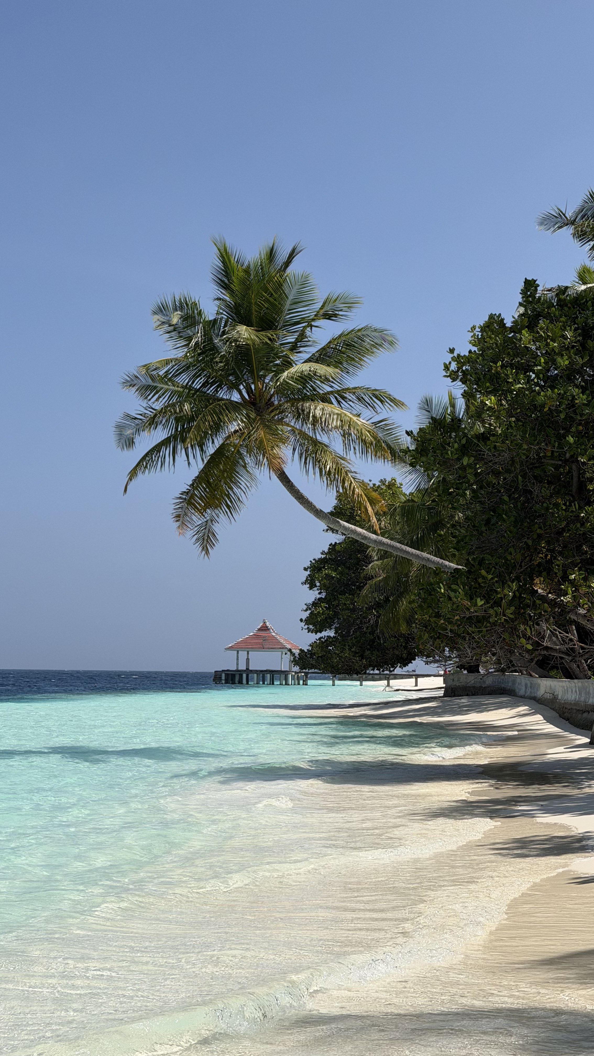 White sand beach with turquoise water on Dhangethi